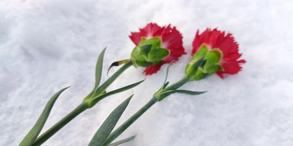 День Героев Отечества в Авангарде